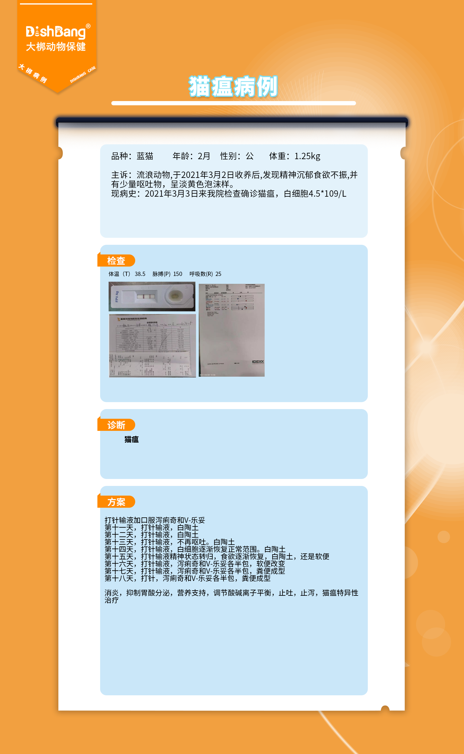 1723699062916782.png 貓瘟病例.png