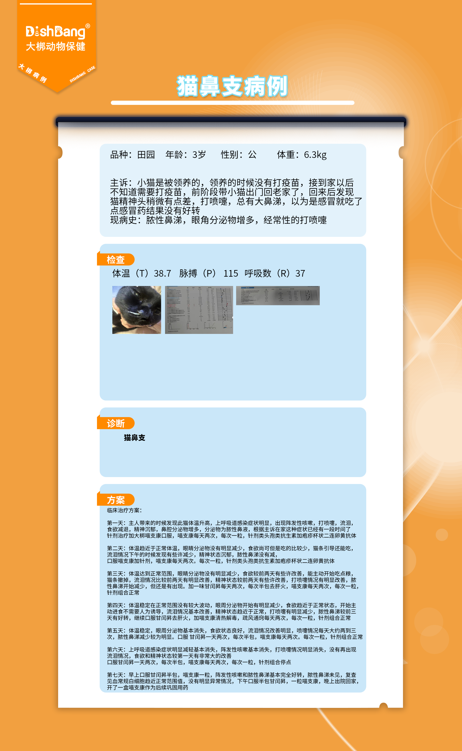 1723699856564558.png 貓鼻支.png