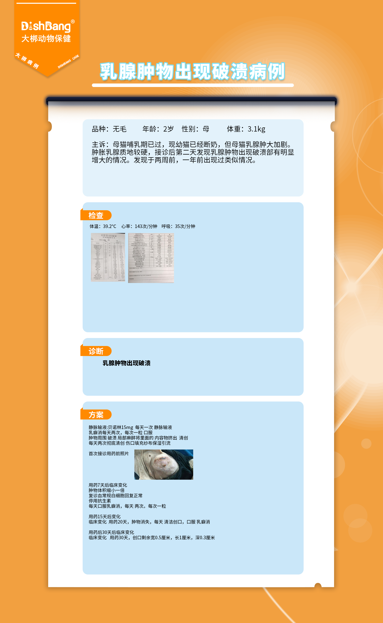 1723699905956999.png 乳腺腫物出現(xiàn)破潰病例.png